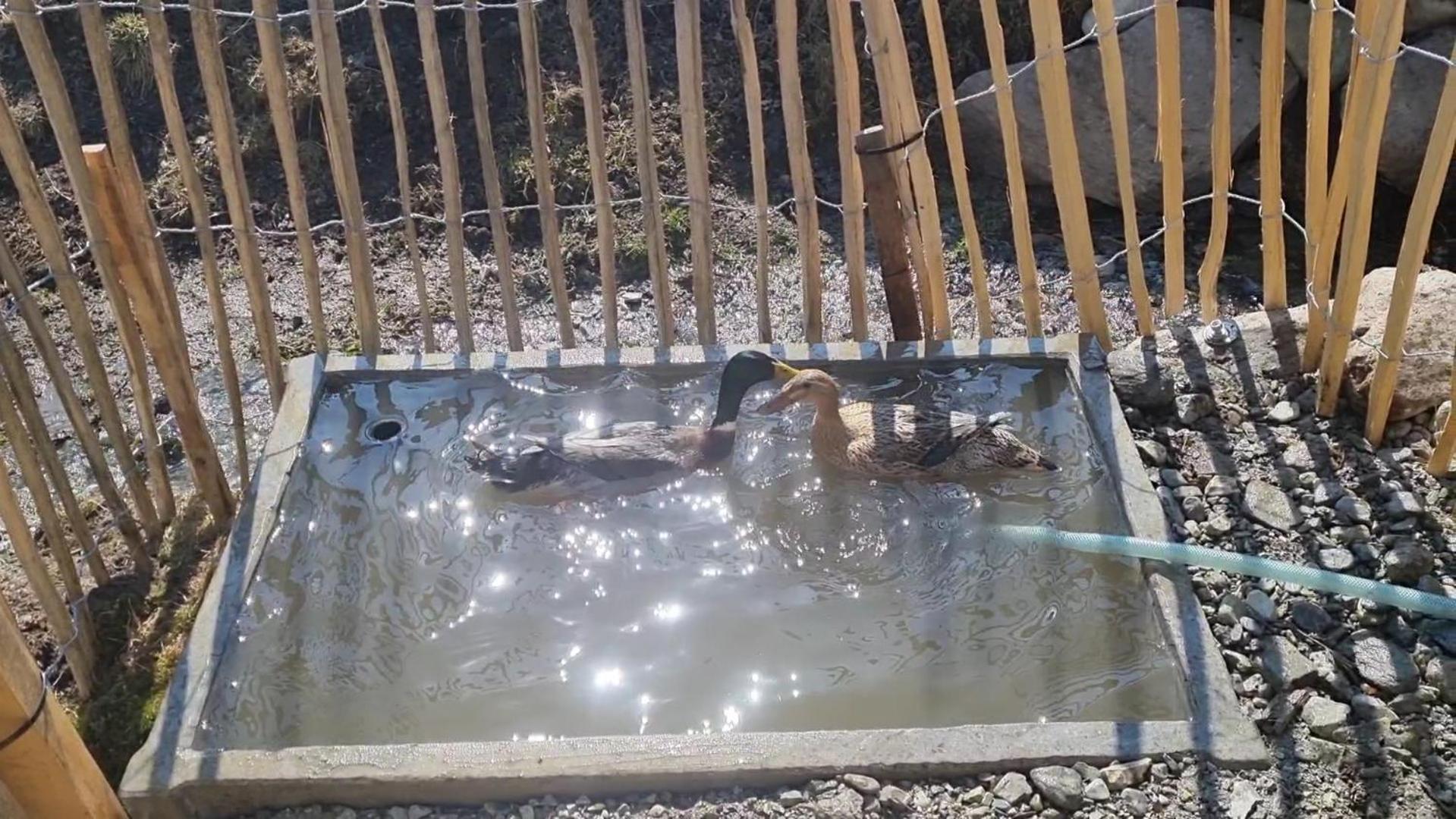 Appartment Sattlerhof Mutters Dış mekan fotoğraf