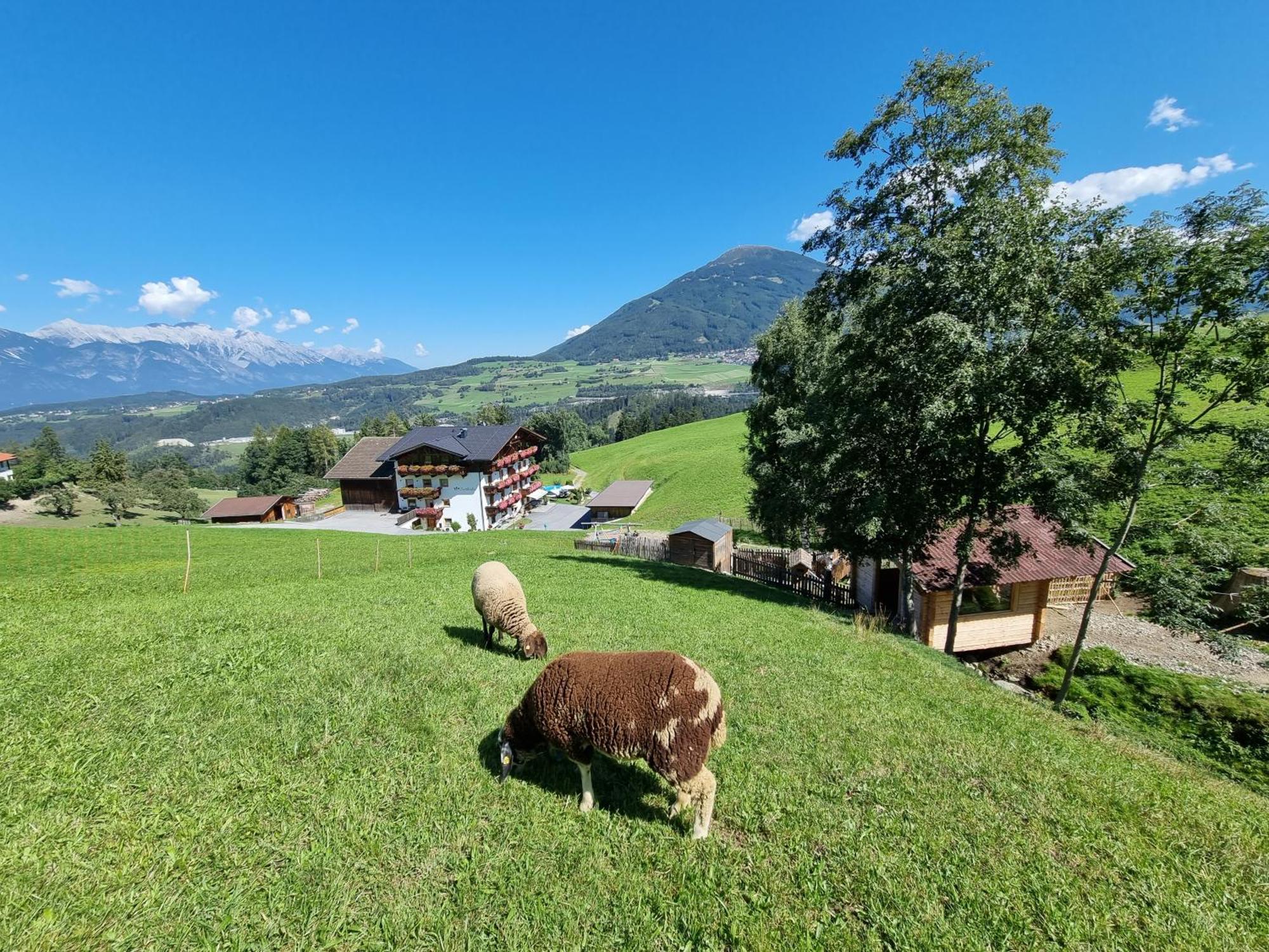 Appartment Sattlerhof Mutters Dış mekan fotoğraf